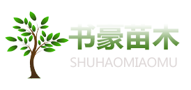 泰安市書(shū)豪苗木有限公司